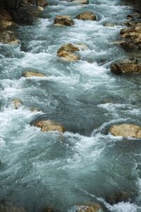 Libro acqua