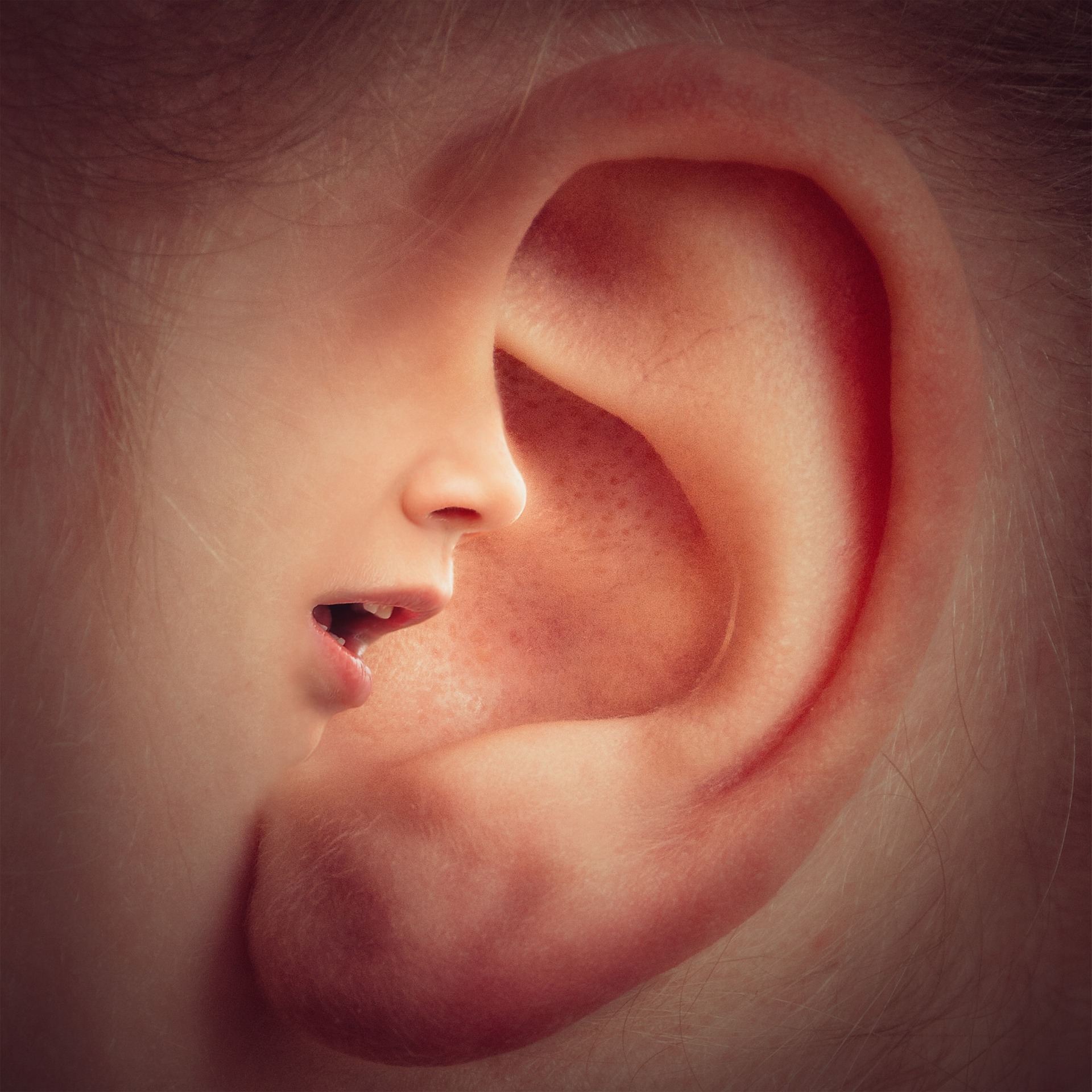 Il tone of voice